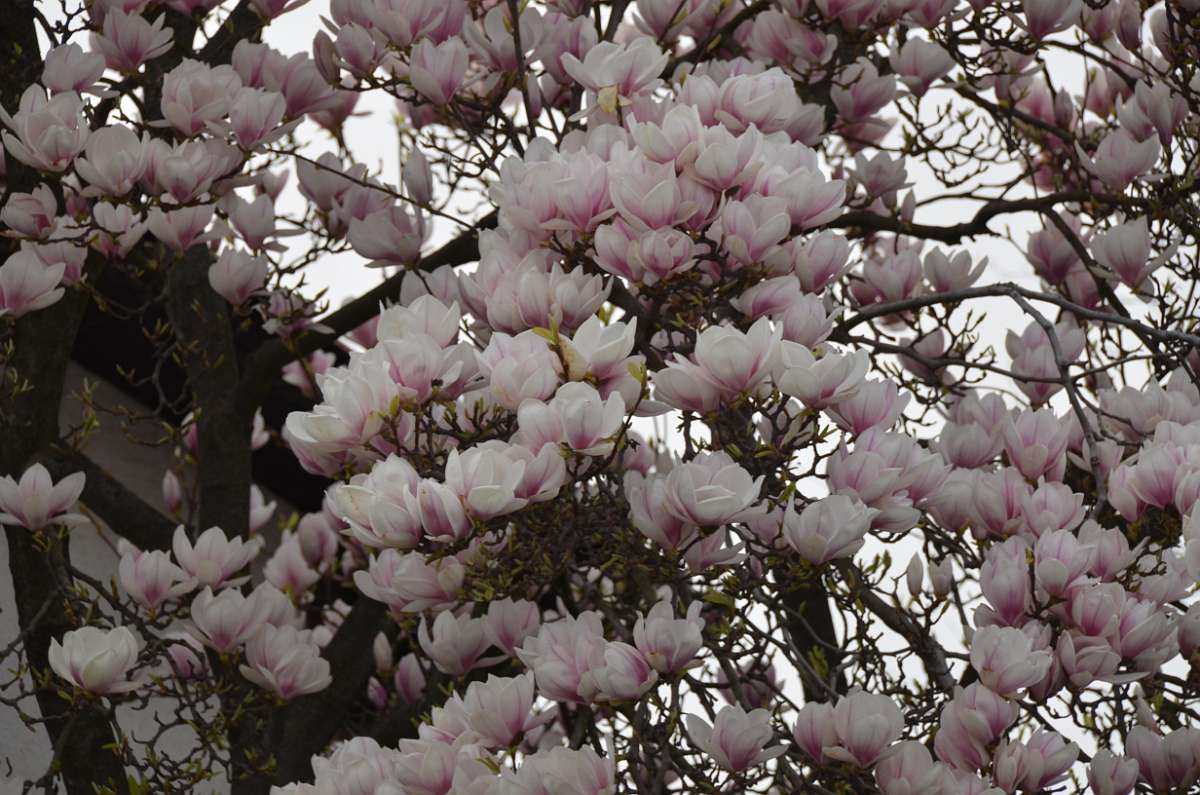 2014-03-31 16-45-59.JPG